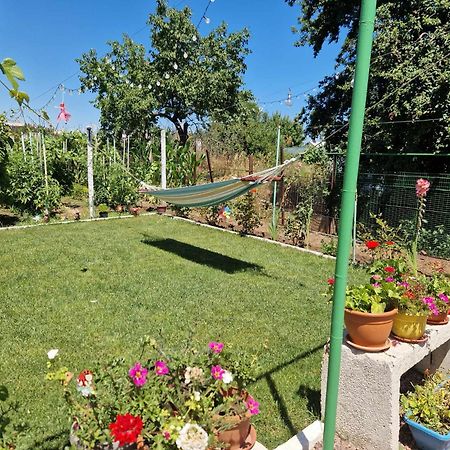 Casa Simona Hotel Două Mai Eksteriør billede