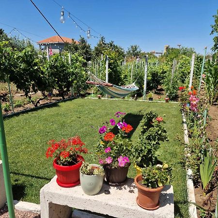 Casa Simona Hotel Două Mai Eksteriør billede
