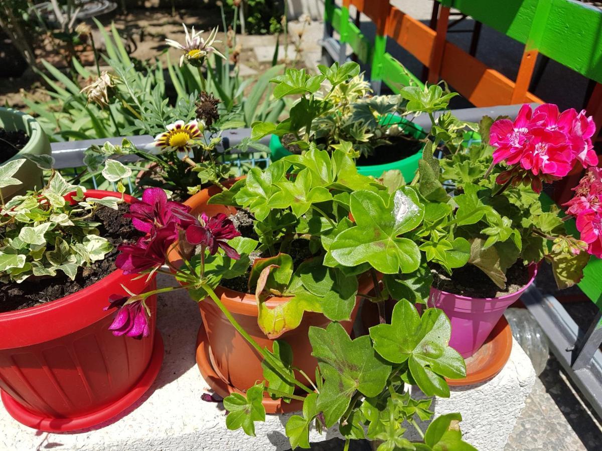 Casa Simona Hotel Două Mai Eksteriør billede