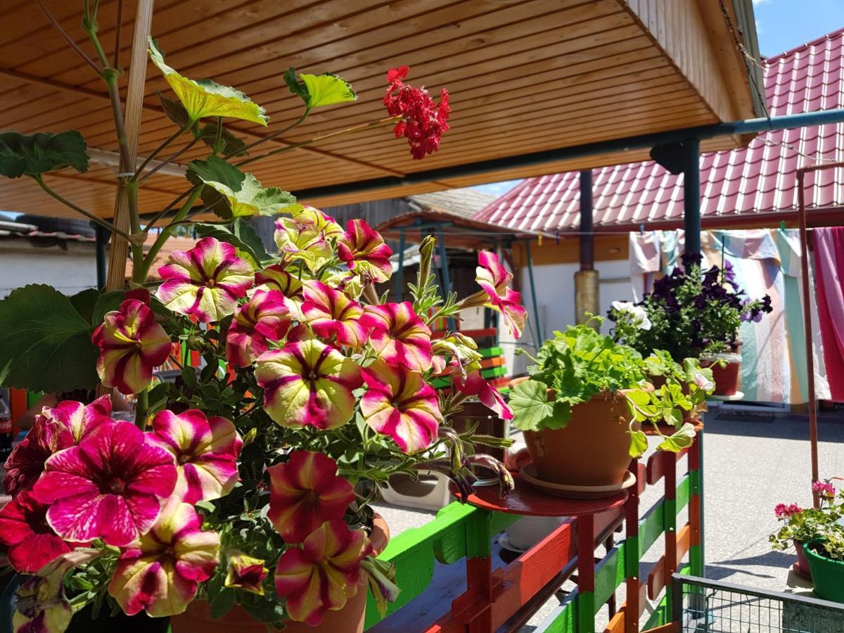 Casa Simona Hotel Două Mai Eksteriør billede