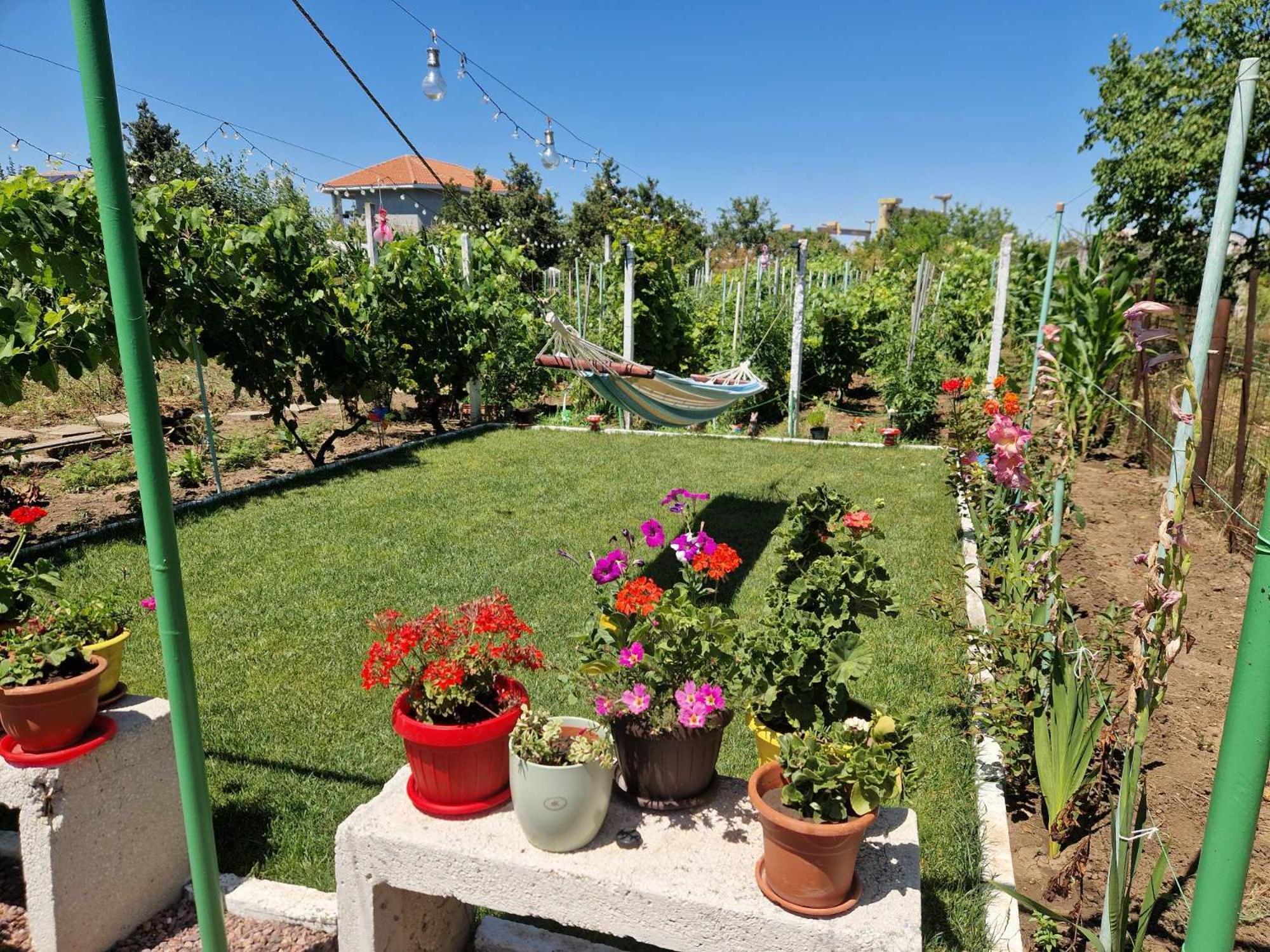 Casa Simona Hotel Două Mai Eksteriør billede